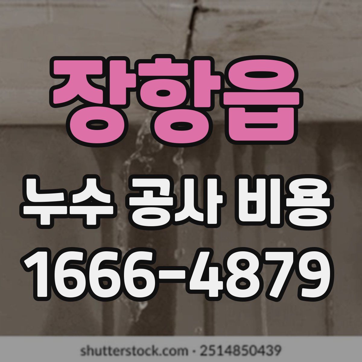 장항읍 누수 공사 비용