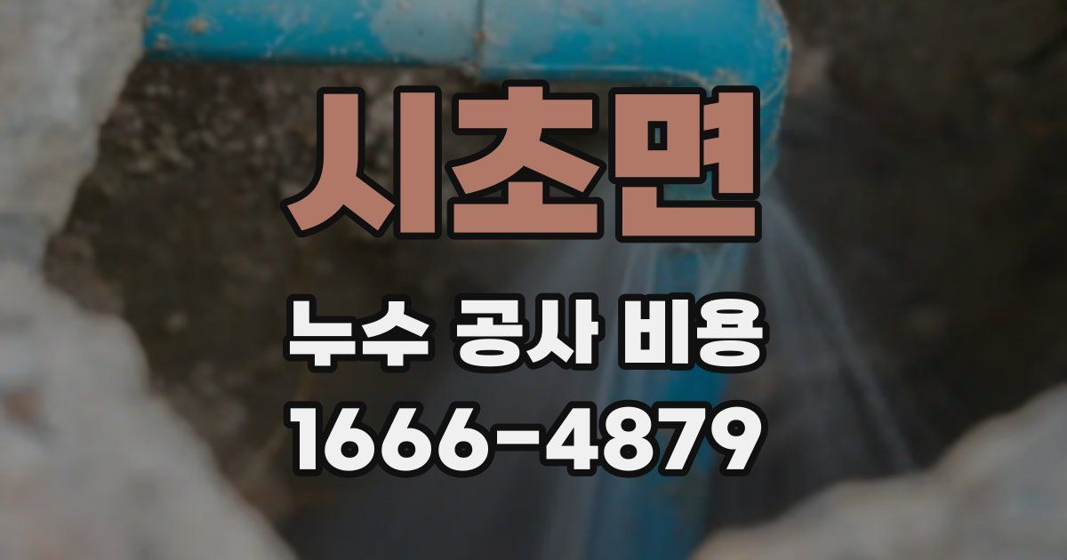 시초면 누수 공사 비용