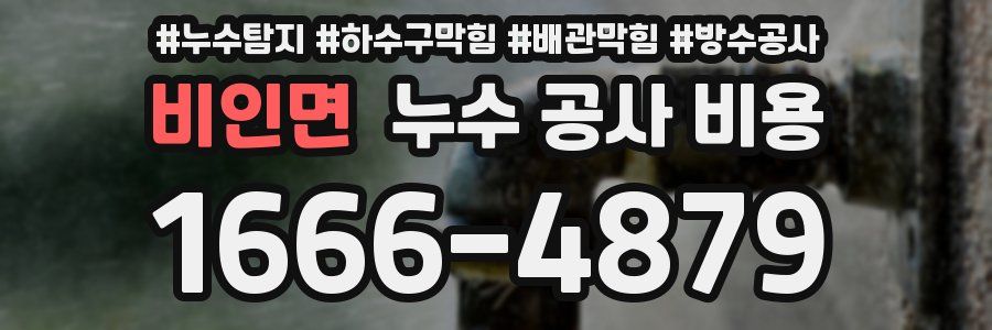 비인면 누수 공사 비용