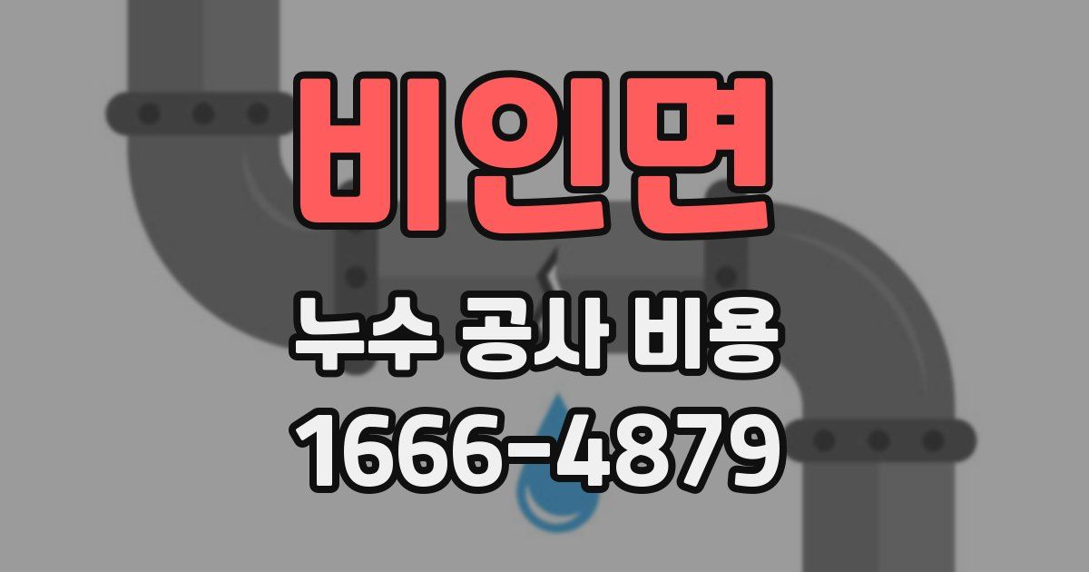 비인면 누수 공사 비용
