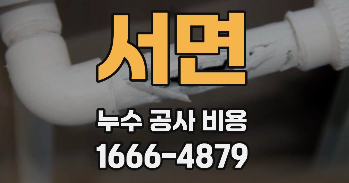 서면 누수 공사 비용