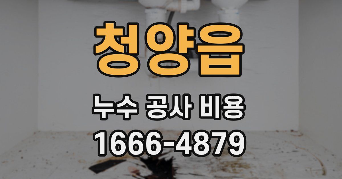 청양읍 누수 공사 비용