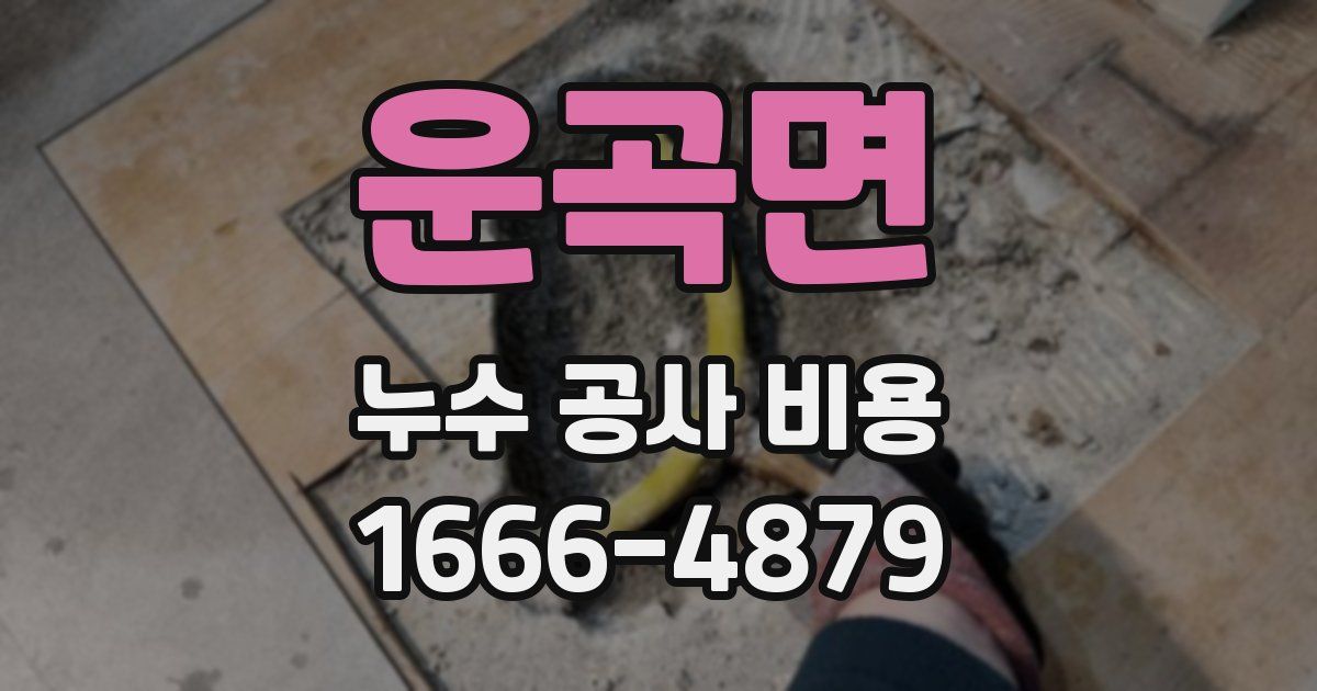 운곡면 누수 공사 비용