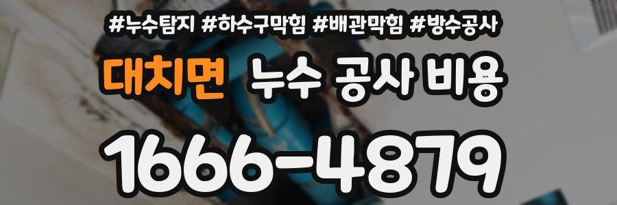 대치면 누수 공사 비용