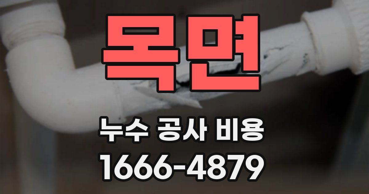 목면 누수 공사 비용