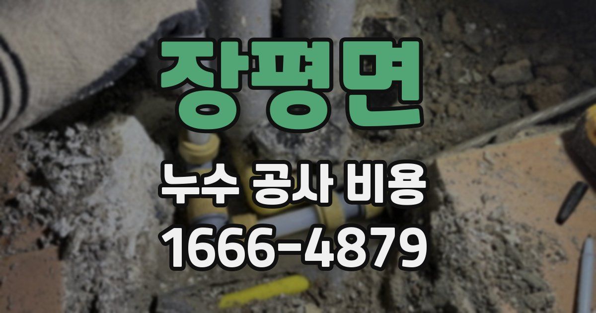 장평면 누수 공사 비용