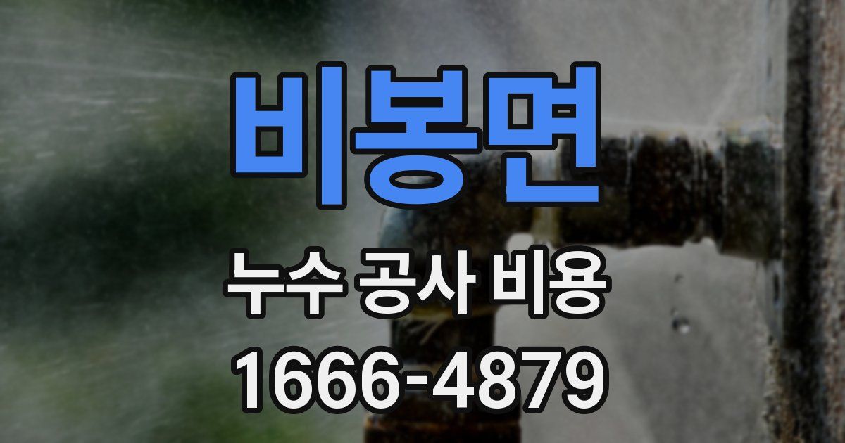 비봉면 누수 공사 비용