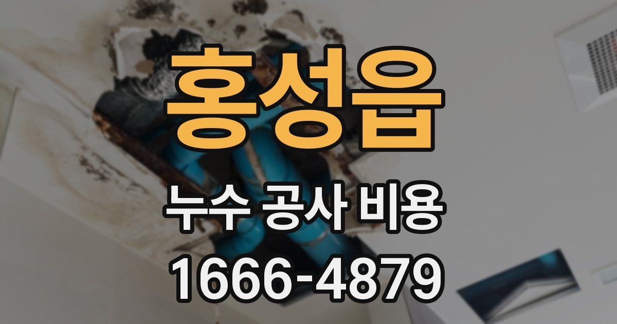 홍성읍 누수 공사 비용