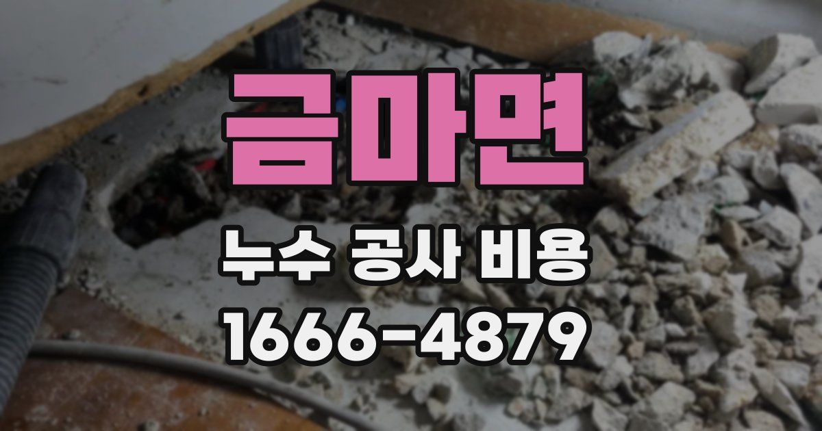 금마면 누수 공사 비용