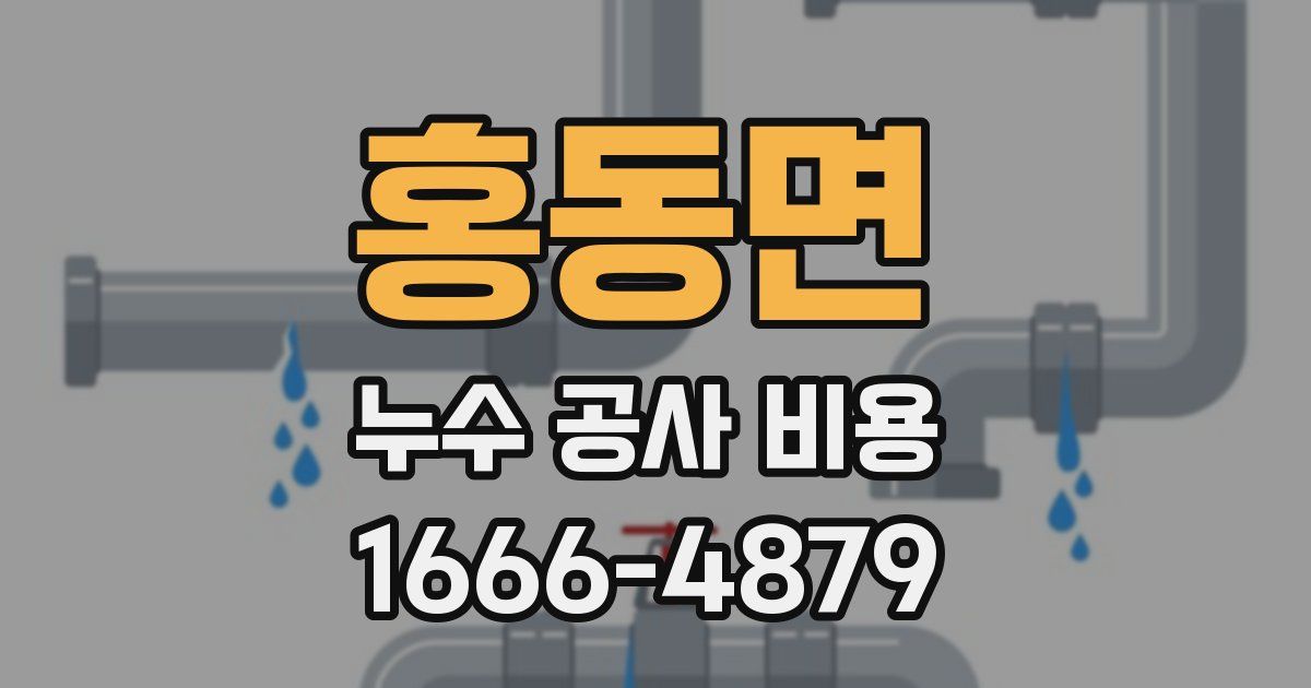 홍동면 누수 공사 비용
