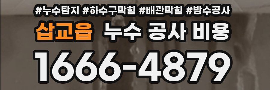 삽교읍 누수 공사 비용