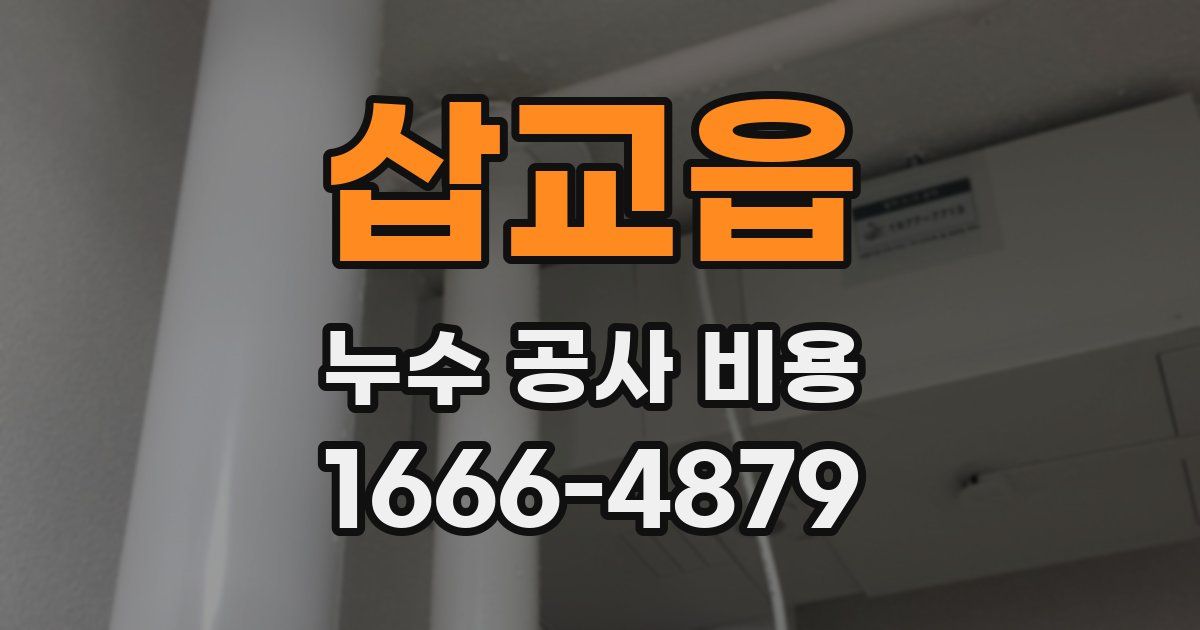 삽교읍 누수 공사 비용