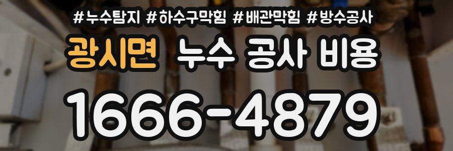 광시면 누수 공사 비용