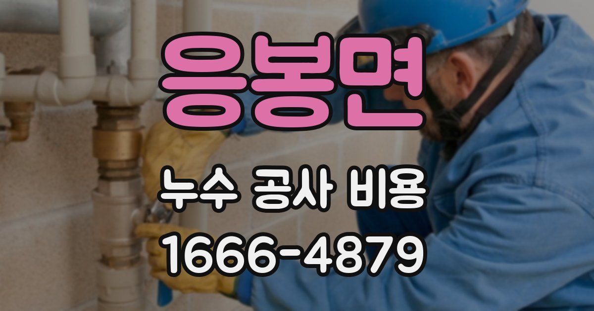 응봉면 누수 공사 비용