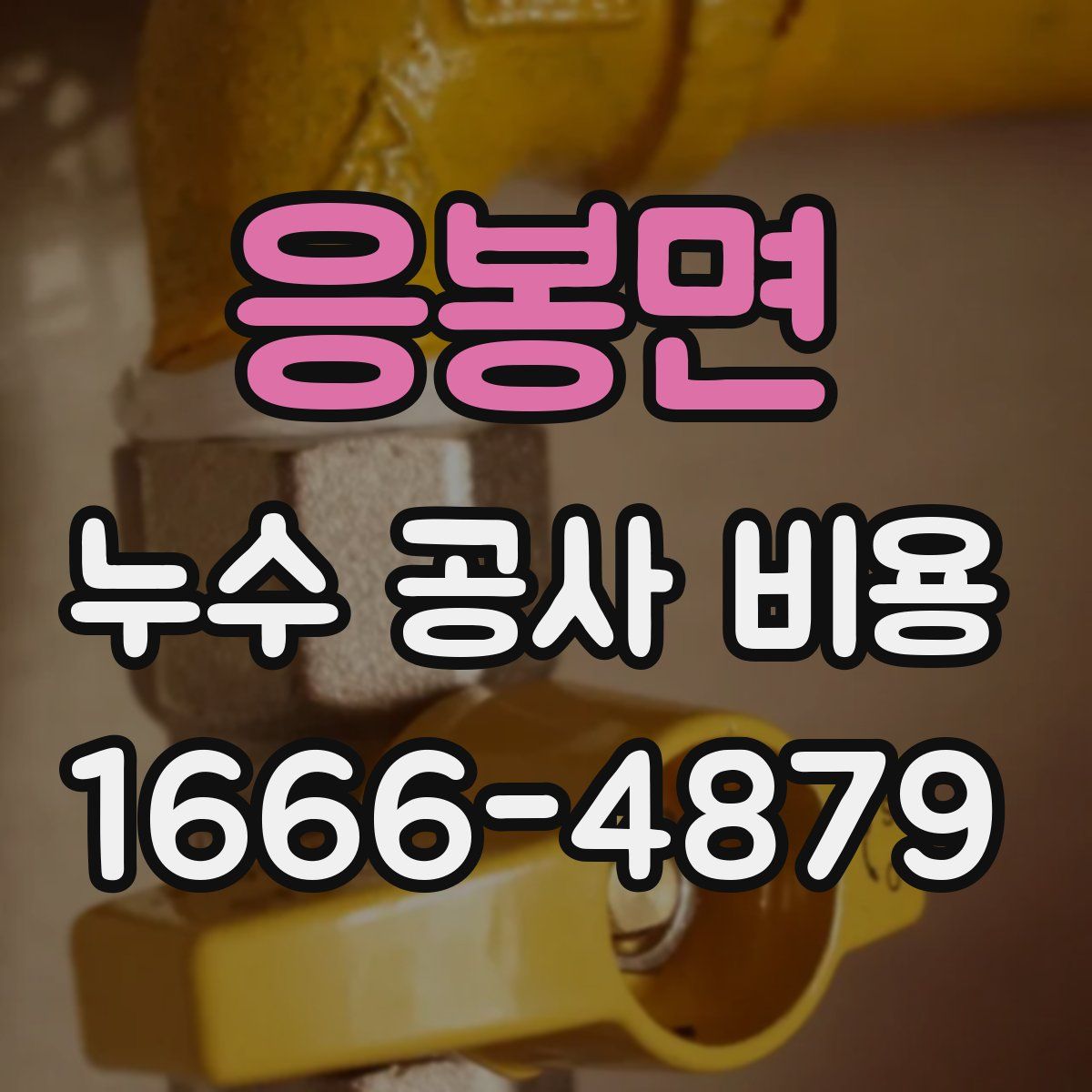 응봉면 누수 공사 비용