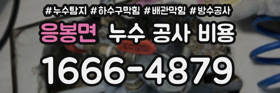 응봉면 누수 공사 비용