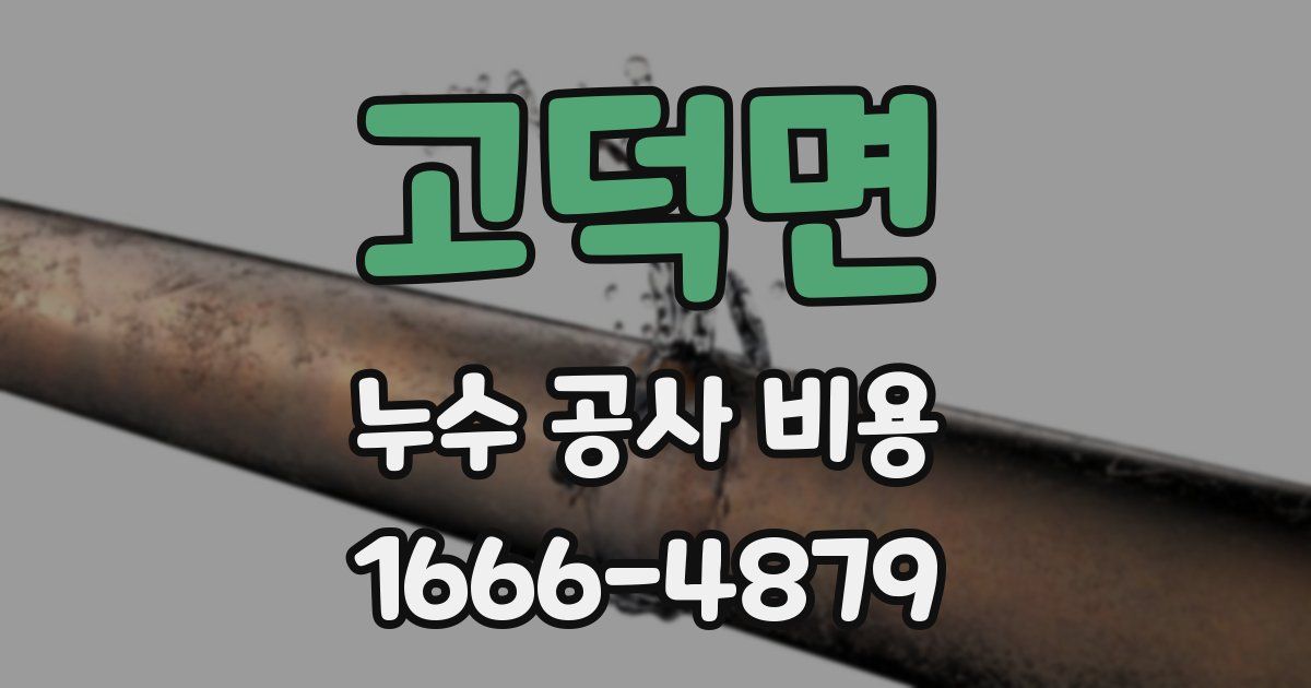 고덕면 누수 공사 비용