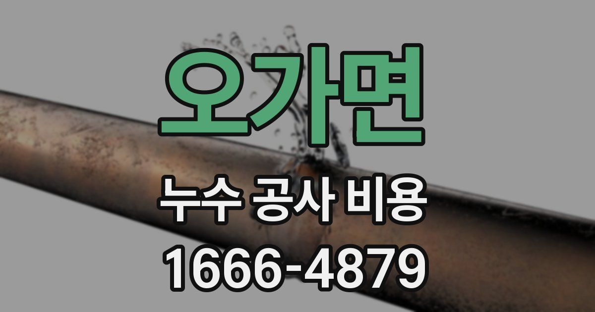 오가면 누수 공사 비용