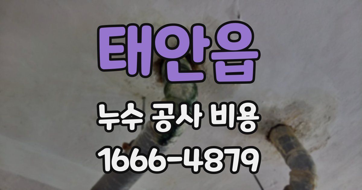태안읍 누수 공사 비용