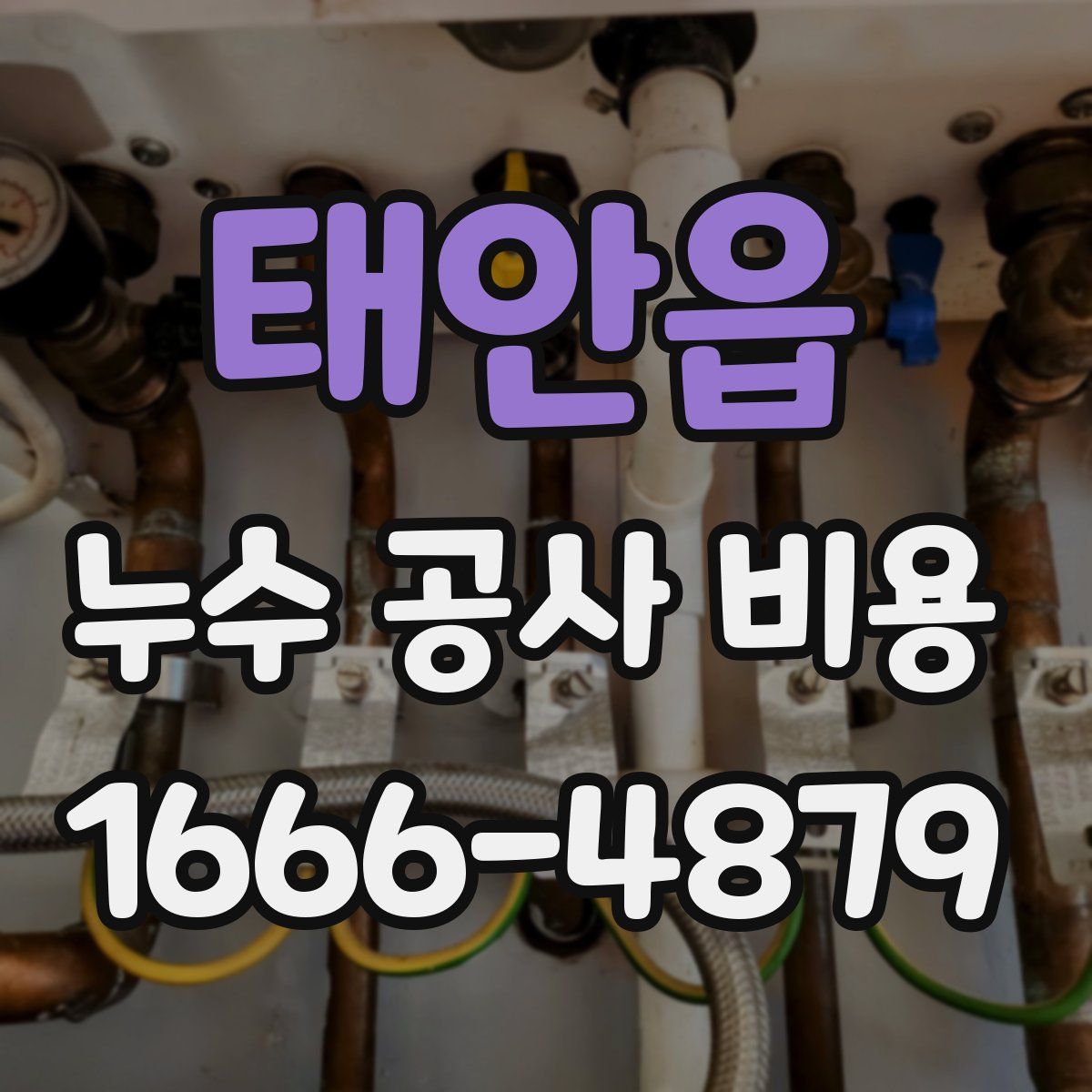태안읍 누수 공사 비용