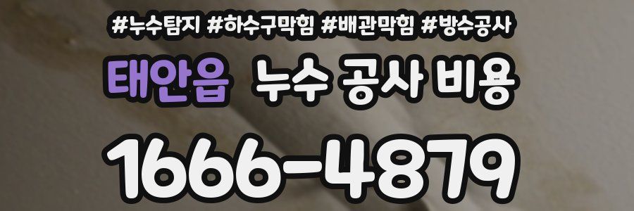 태안읍 누수 공사 비용