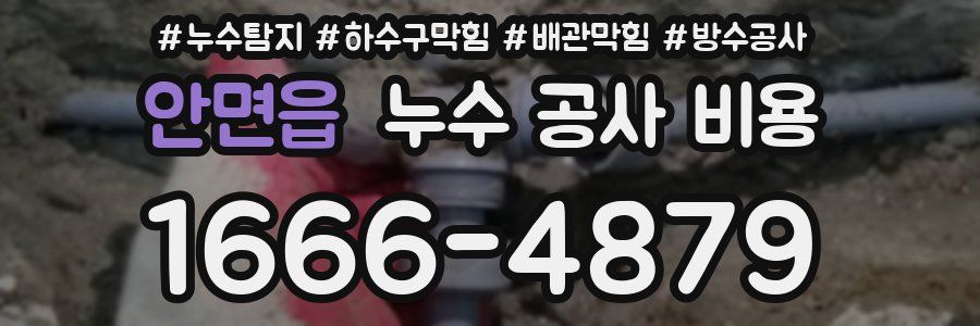 안면읍 누수 공사 비용