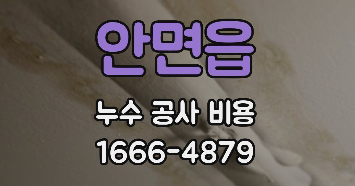안면읍 누수 공사 비용