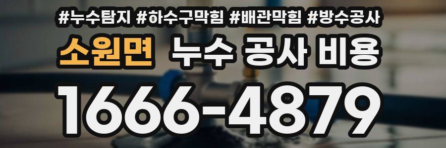 소원면 누수 공사 비용