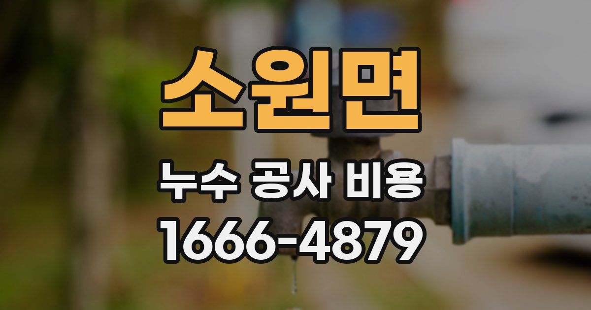 소원면 누수 공사 비용