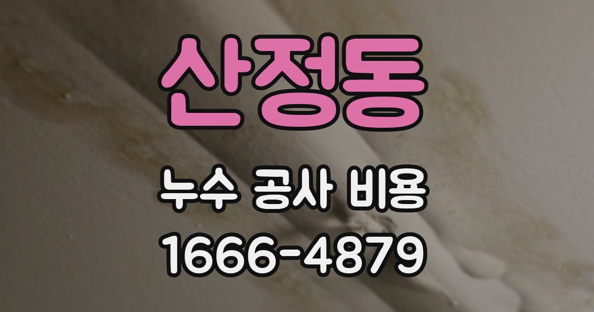 산정동 누수 공사 비용