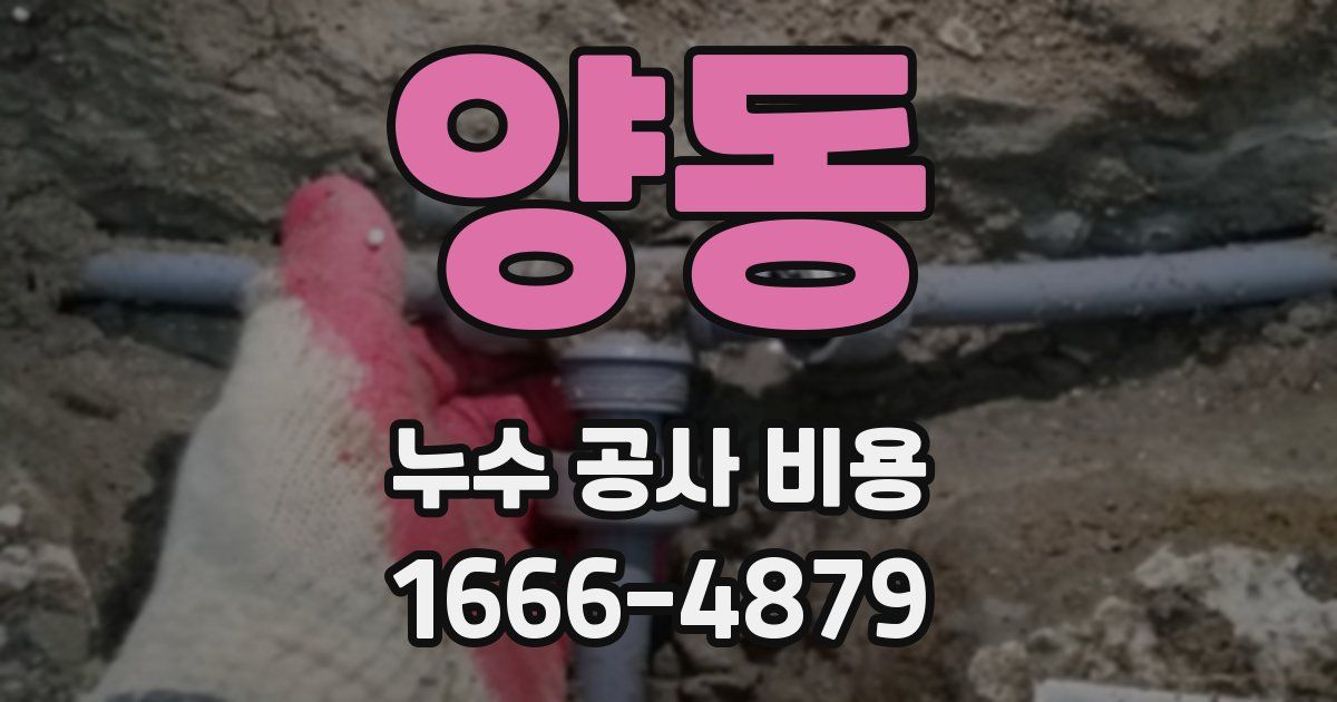 양동 누수 공사 비용