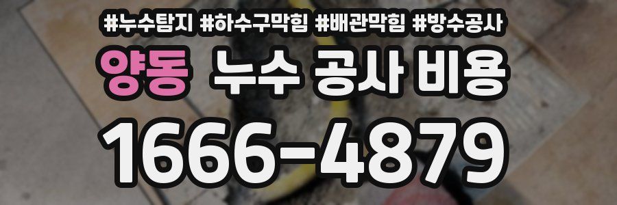 양동 누수 공사 비용