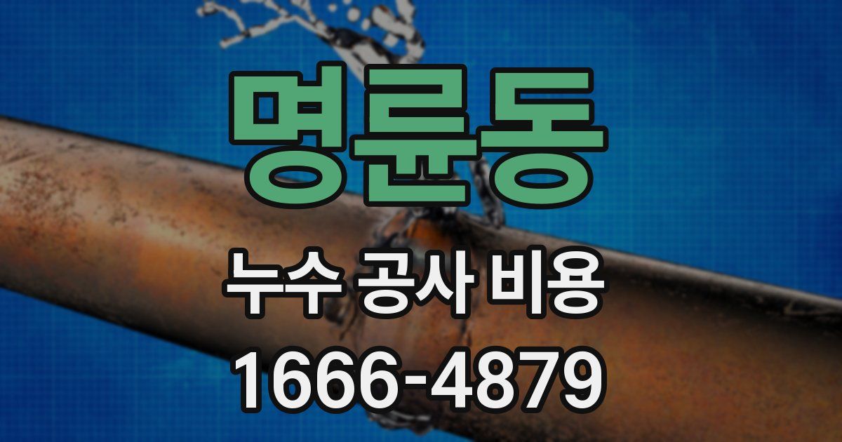 명륜동 누수 공사 비용