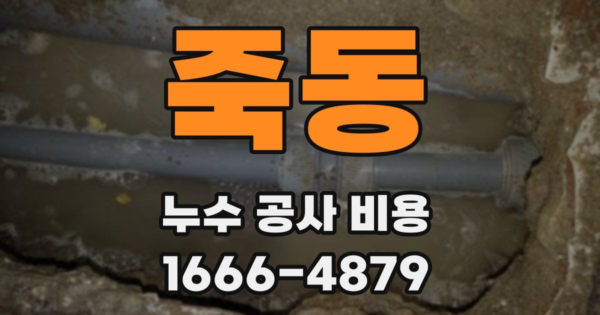죽동 누수 공사 비용