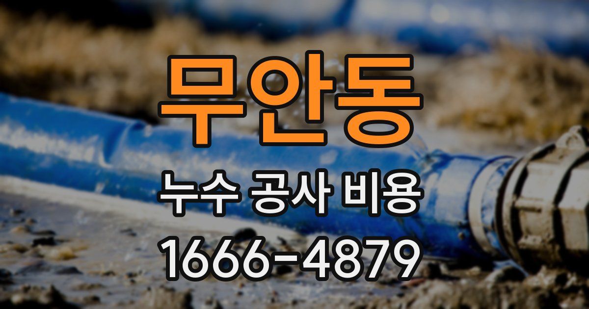 무안동 누수 공사 비용