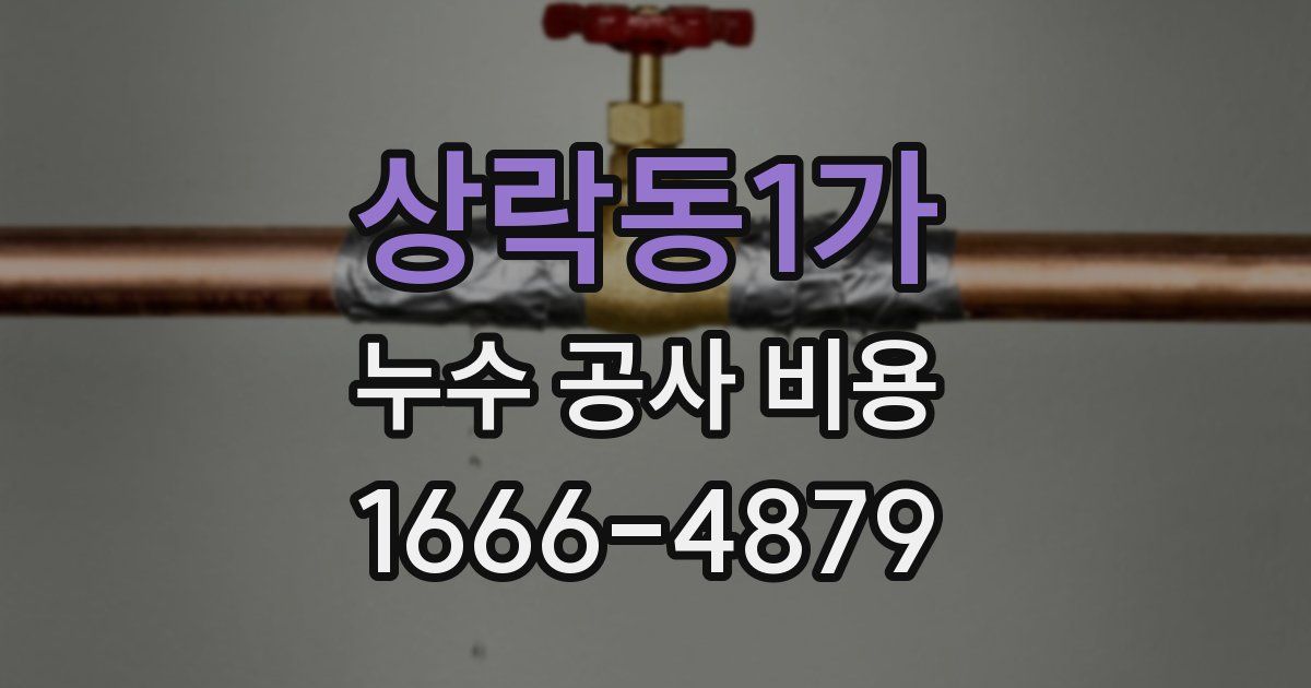 상락동1가 누수 공사 비용