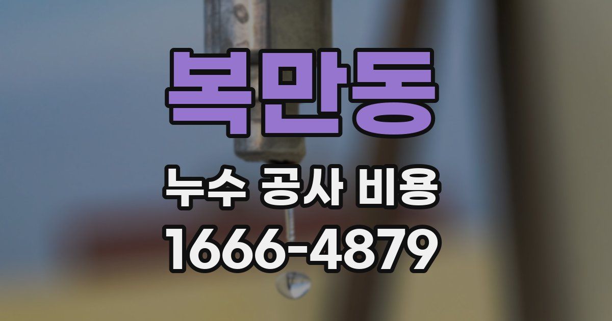 복만동 누수 공사 비용