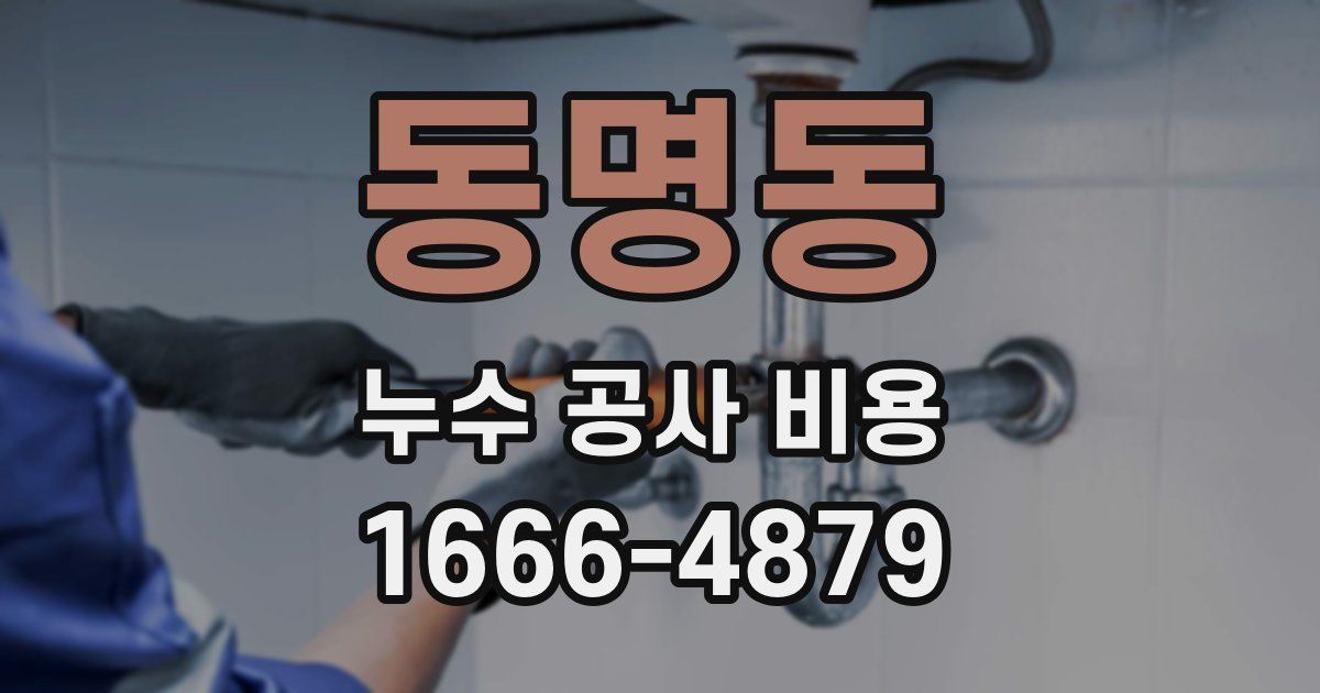 동명동 누수 공사 비용