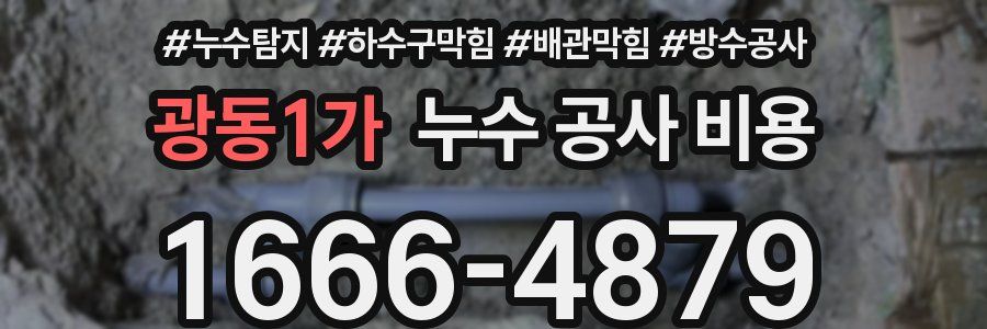 광동1가 누수 공사 비용