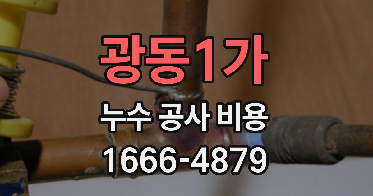 광동1가 누수 공사 비용