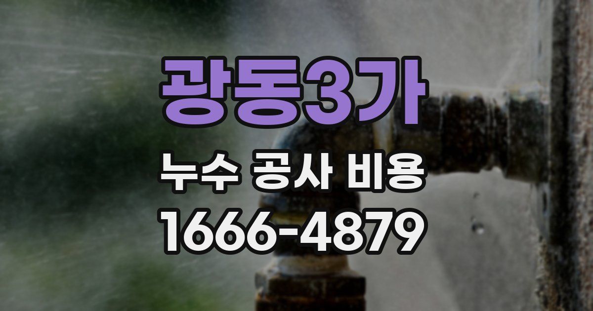 광동3가 누수 공사 비용