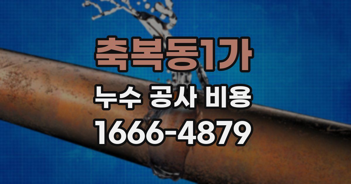 축복동1가 누수 공사 비용