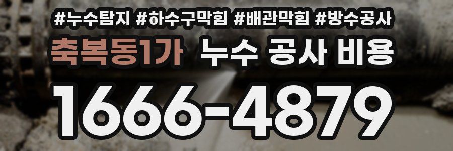 축복동1가 누수 공사 비용