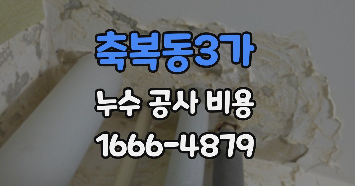축복동3가 누수 공사 비용