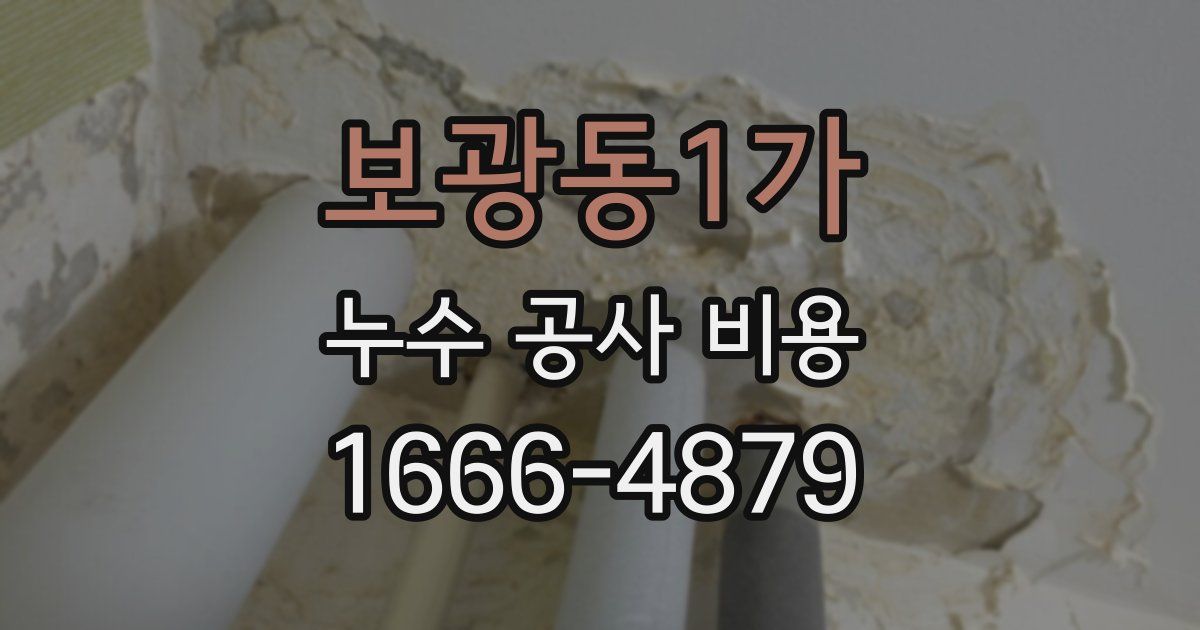 보광동1가 누수 공사 비용