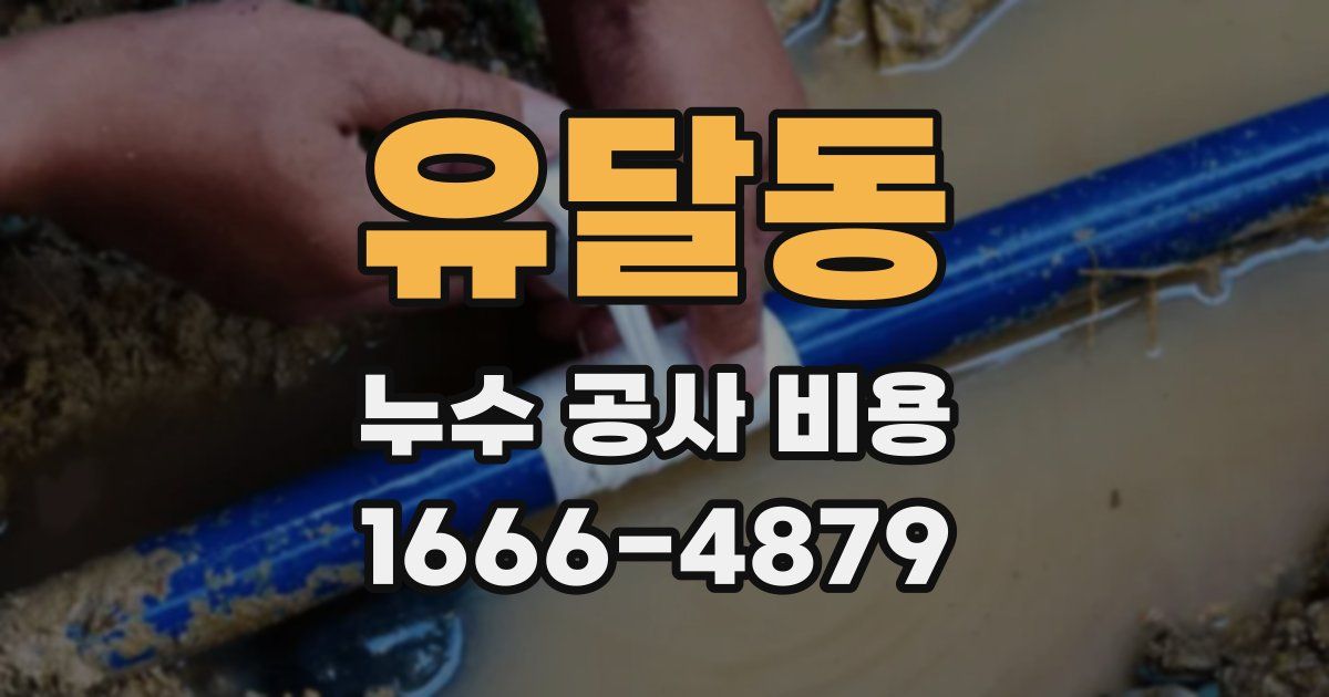 유달동 누수 공사 비용