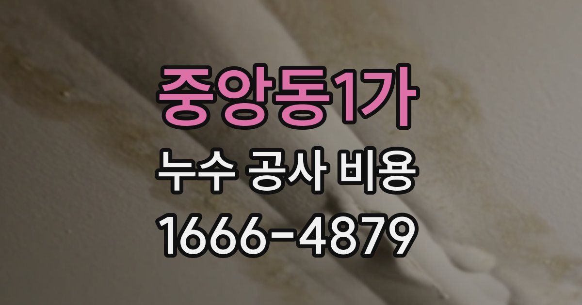 중앙동1가 누수 공사 비용