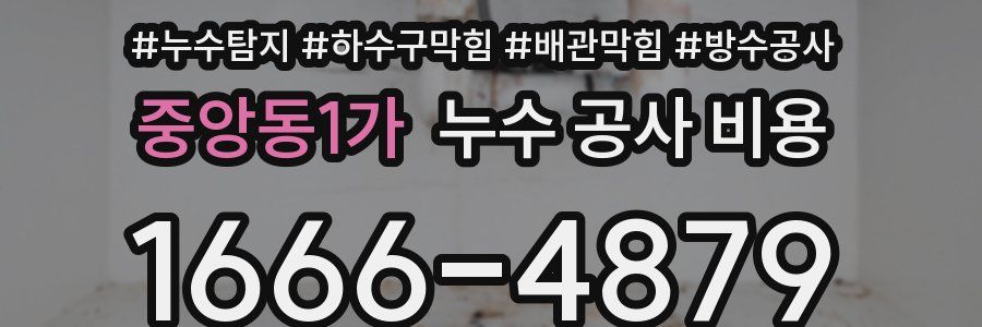 중앙동1가 누수 공사 비용