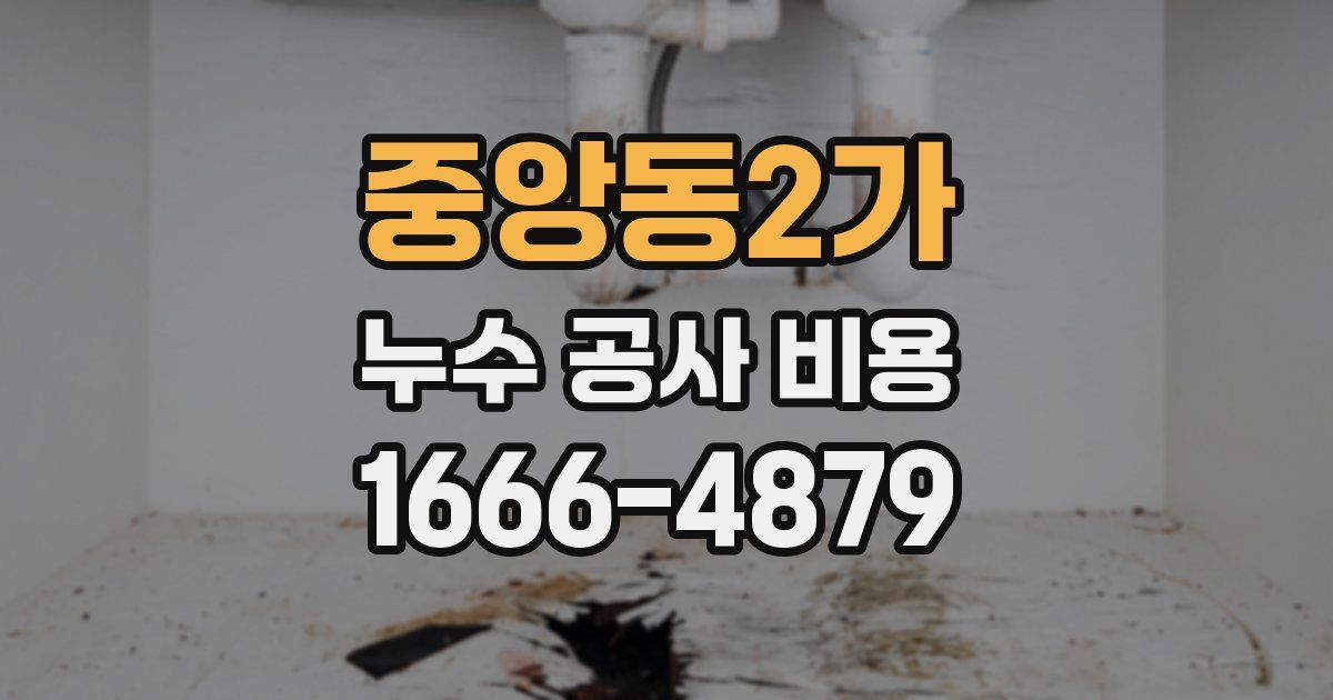 중앙동2가 누수 공사 비용
