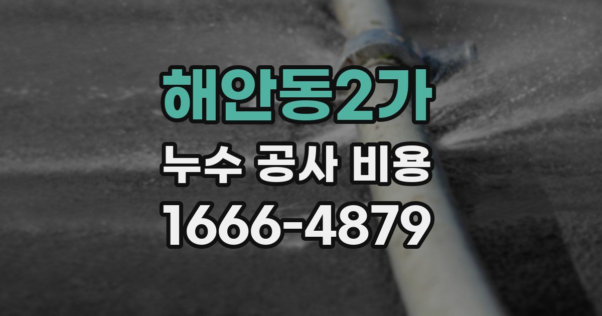해안동2가 누수 공사 비용